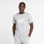 Tričko New Balance S/S Sport Graphic V Flying MT43906AG pánske L
