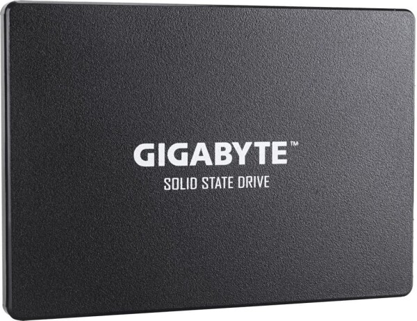 Gigabyte 256GB 2.5" SATA III (GP-GSTFS31256GTND)