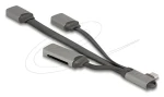 DeLock USB-C Hub / USB hub / USB 3.2 Gen 1 / 2× USB-A + čítačka SD a microSD (64303)