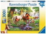 Ravensburger Kone pri rieke