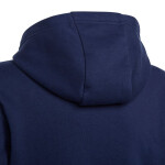 Entrada 22 Hoody Jr Adidas