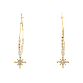 Pierre Lannier Elegantné kruhové náušnice s príveskom hviezdy Antharea BJ25A2211