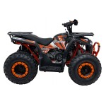 Mamido Detská benzínová štvorkolka RamiGO PRO RIDER 200CC oranžová
