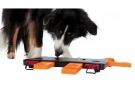 TRIXIE Dog Activity Move2Win / Interaktívna hračka pre psov / Kolky a šuplíčky / 34x6x13 cm