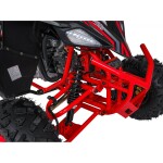 Mamido Detská benzínová štvorkolka RamiGO DESERT STORM LIFT 125CC červená