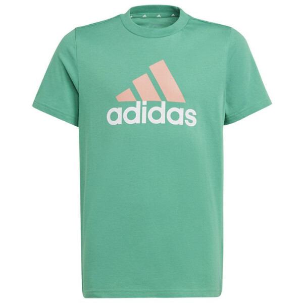 Detské tričko Big Logo 2 Tee Jr IB8776 - ADIDAS 140 cm