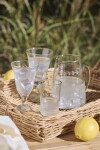 Ib Laursen Pohár leaf 200 ml