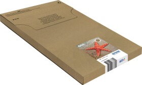 Epson EPSON 1LB Multipack 3-colours 603 EasyMail