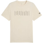 Puma Sport Graphic Tee M 684617 87 pánske tričko S