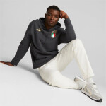 Pánska mikina Puma Figc Ftbl Coulture Hoody 767136-09