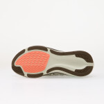 Tenisky Nike Pegasus 42 Ironstone/ Black-Sea Glass-Arctic Green EUR 45