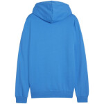 Puma Team Goal Casuals Hooded M 658595 02 M