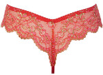 String V-11908 - Axami S
