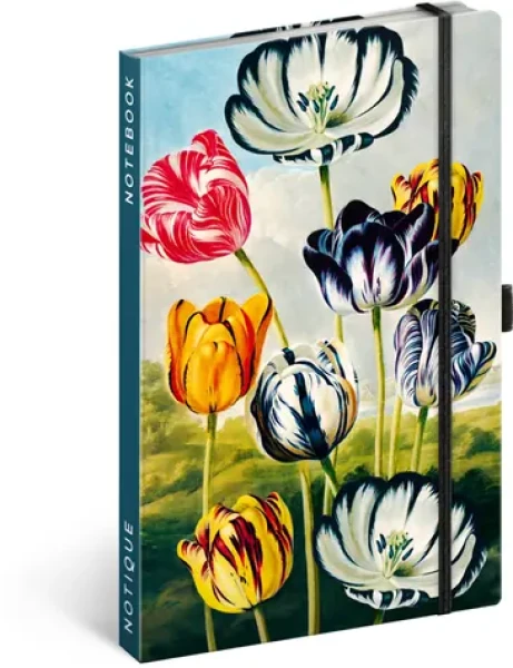 NOTIQUE Notes Tulipány Kataríny Winterovej, linajkový, 13 x 21 cm (A-35791)