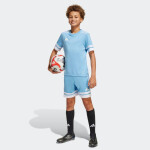 Tričko adidas Squadra 25 Jr JJ0050 152CM