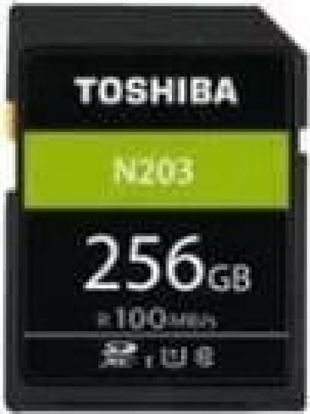 Toshiba N203 SDXC 256 GB Class 10 UHS-I/U1 (THN-N203N2560E4)