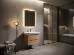 AQUALINE - FAGO zrkadlo s LED osvetlením 60x80cm, dotykový senzor, stmievateľné FA060