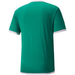 Puma teamLiga Jersey 704917 05 muži