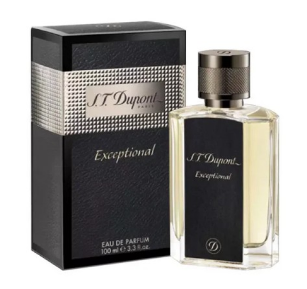 S.T. Dupont Exceptional - EDP 100 ml