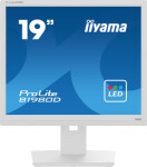 Iiyama