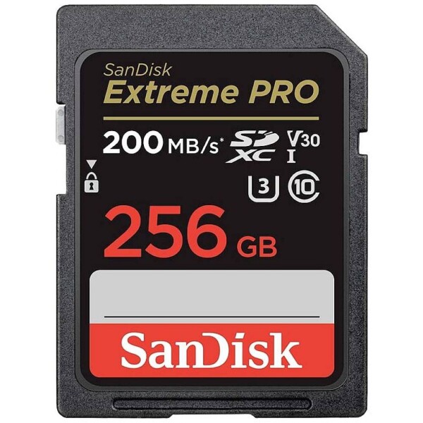 SanDisk SDXC SDSDXXD-256G-GN4IN