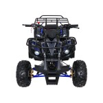 Mamido Detská benzínová štvorkolka RamiGO WILDPEAK 110CC čierno-modrá