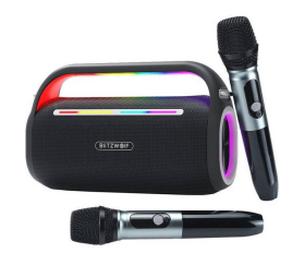 DELL BW-WA7 120W BT Karaoke Wireless Speak