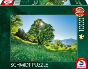 Schmidt Puzzle Platan