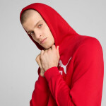 Pánska mikina Puma ESS No.1 Logo Hoodie FL M 682570 11 L