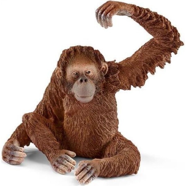 Schleich Wild Life 14775 Samica orangutana