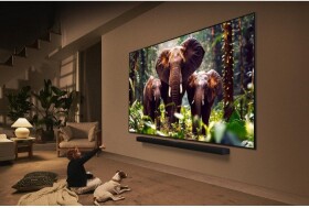 LG LG 65QNED85A6C.AEU