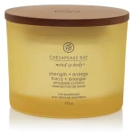 Chesapeake Bay Strength + Energy Vonná sviečka 312 g (5038581114521)