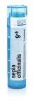 SEPIA OFFICINALIS CH9 granule 4 g