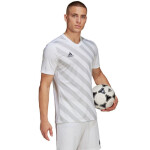 Pánsky dres Entrada 22 Graphic Jersey HF0129 Adidas