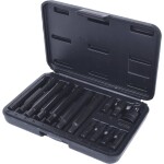 KS Tools 911.4306 Sada bitov 5/16" RIBE®, 14 ks; 911.4306