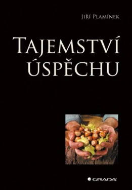 Tajemství úspěchu, Plamínek Jiří