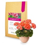 Symbiom mykorhízne huby Symbivit Kvet 150 g