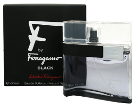 Salvatore Ferragamo Black Edt