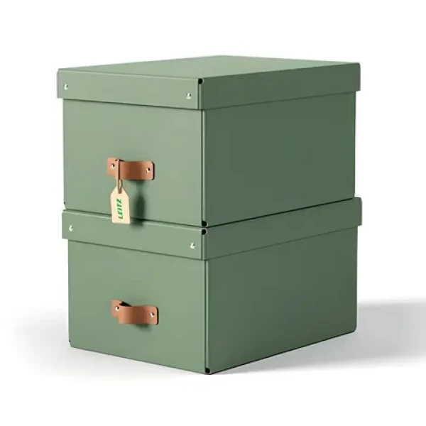 Leitz Puro zelená / Úložný box s vekom / veľkosť M / kartón / 2 ks (61490050)