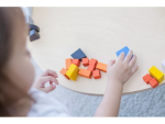 PlanToys PlanToys Zlomkové kocky