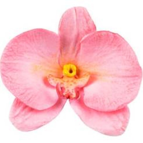 Forma na orchideu 92x60mm - Silikomart - Silikomart