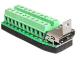 DeLock Adaptér HDMI (F) - 20 pin Terminal Block zelená (65168)