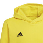 Entrada 22 Hoody Jr Adidas cm