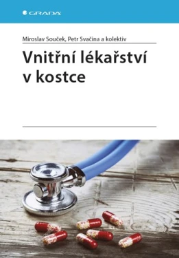 Vnitřní lékařství v kostce, Souček Miroslav