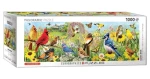 EUROGRAPHICS Panoramatické puzzle Záhradné vtáky