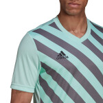 Pánsky dres Entrada 22 Graphic Jersey HF0119 Adidas