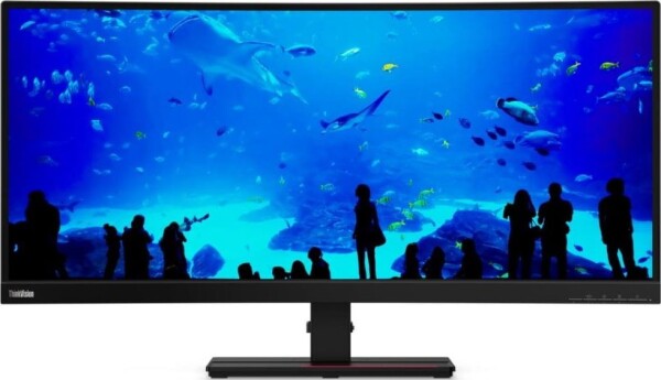 Lenovo ThinkVision T34w-20 Curved (61F3GAT1EU)