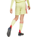 Detské šortky adidas Tiro 24 žlto-červené JC6206 152CM