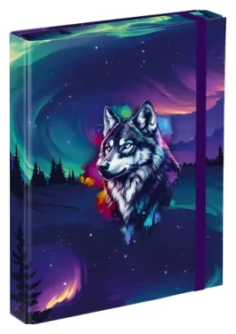 BAAGL Dosky na školské zošity A5 Aurora / 17x23x3 cm