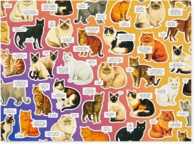 Galison Puzzle Náladové mačky